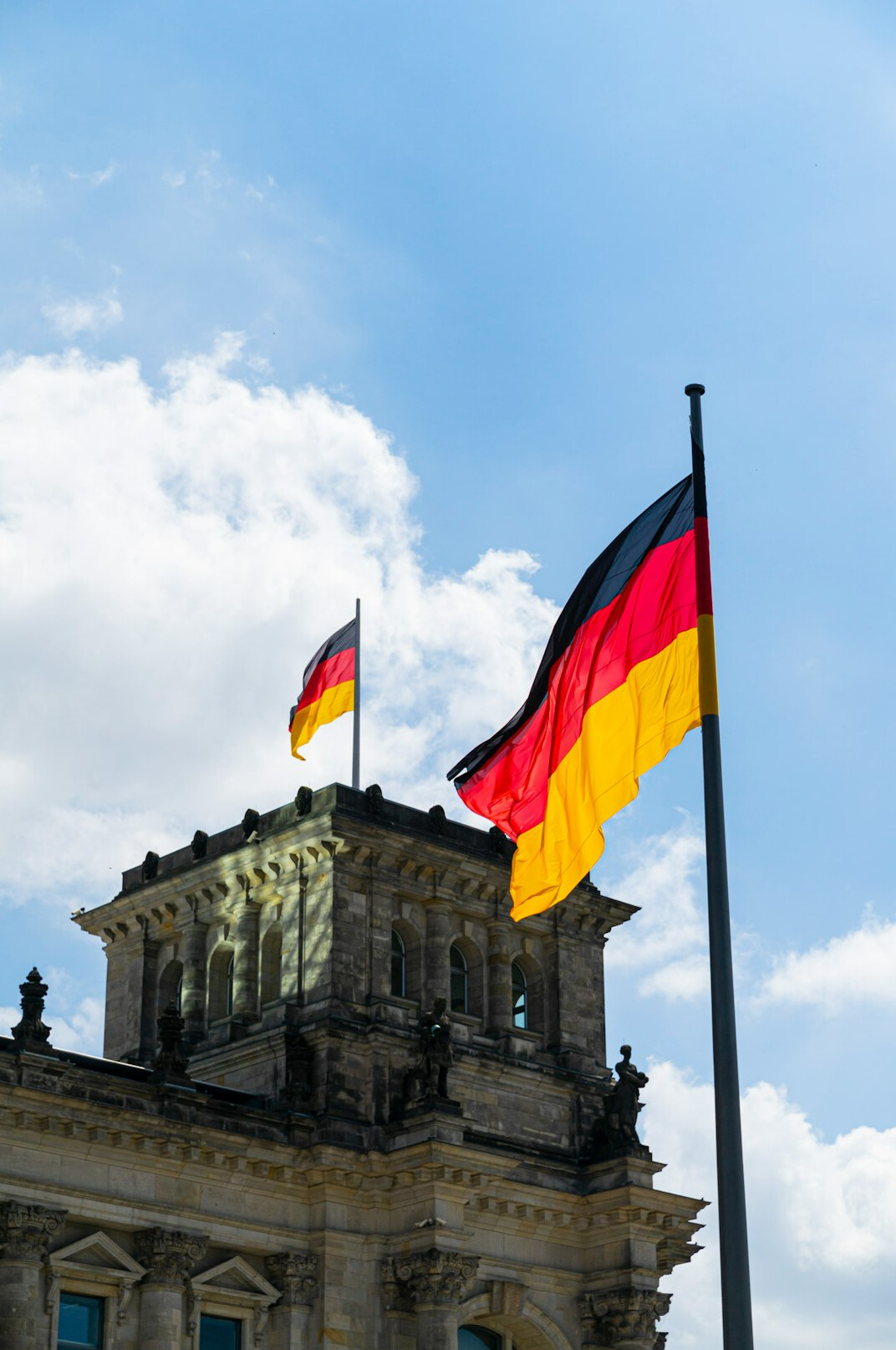 german survey participants