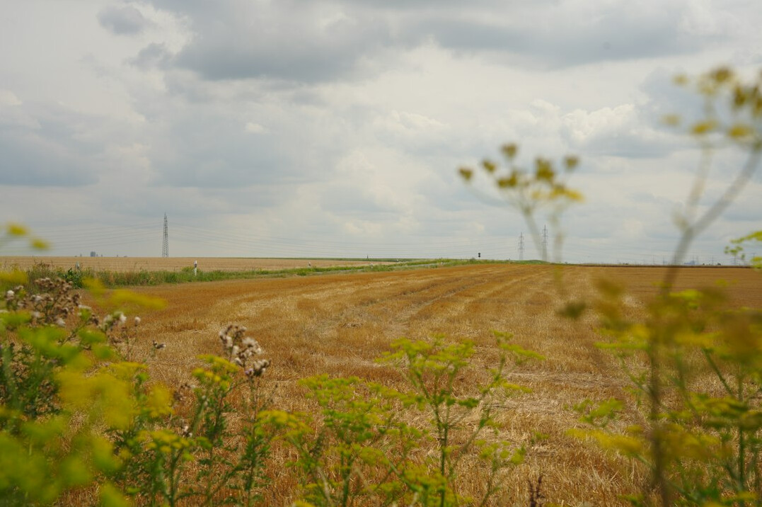 german countryside landscape