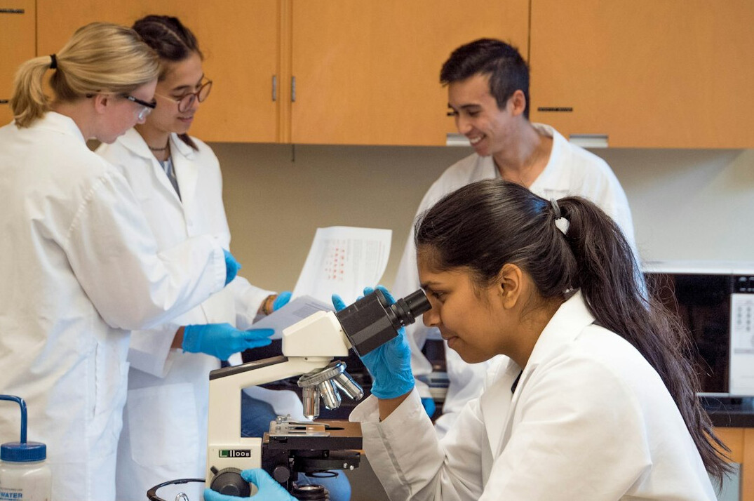research team analyzing