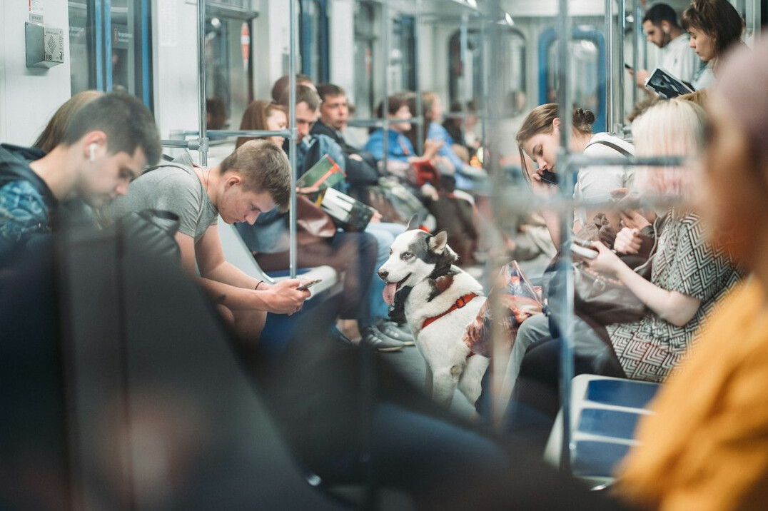 people using smartphones in public